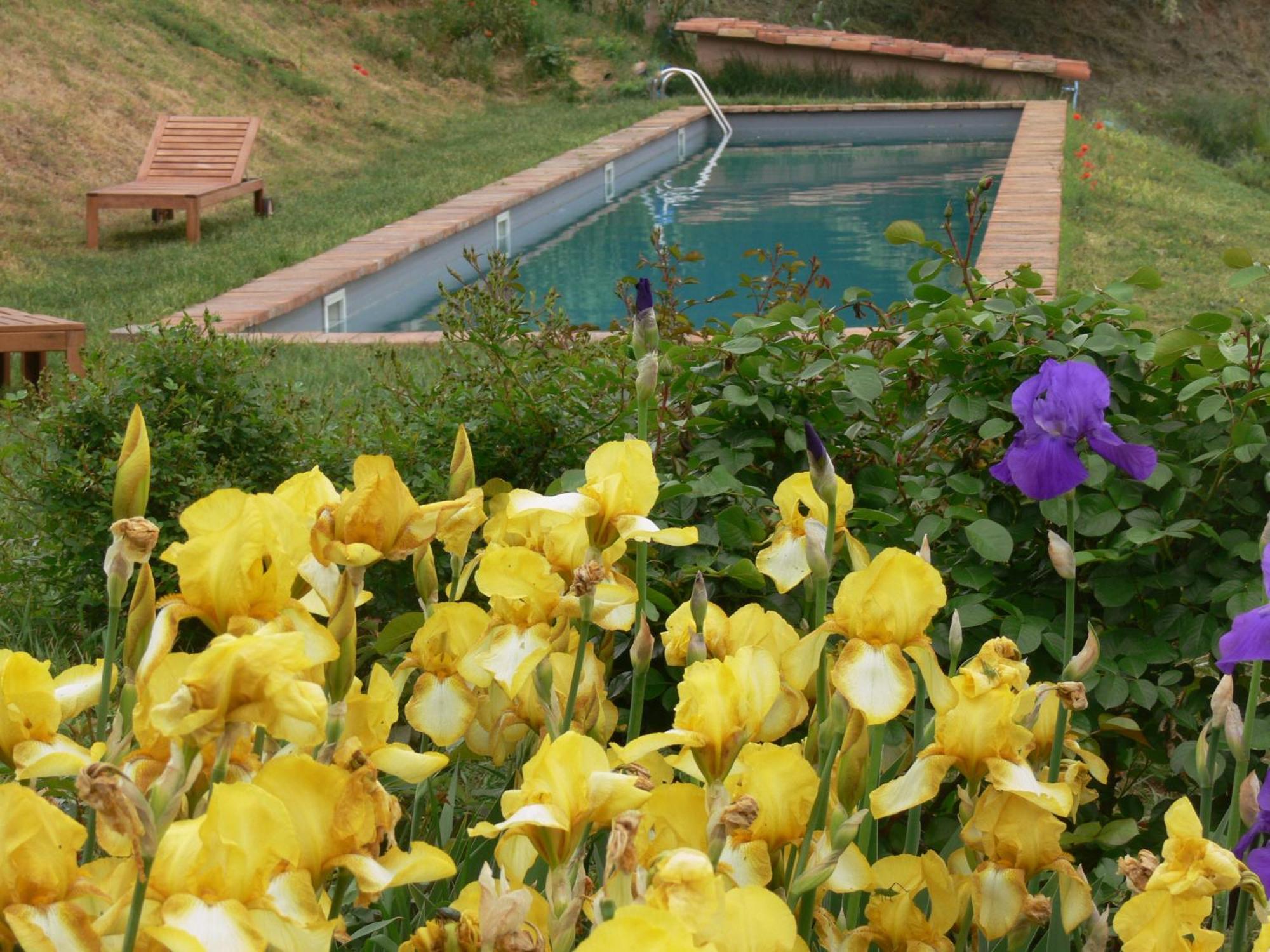 Casa Isabella Guest House Vaglio Serra Екстериор снимка